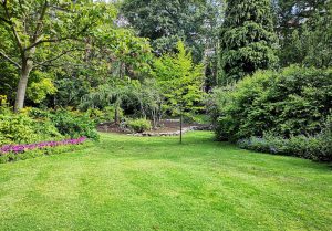 Optimiser l'expérience du jardin à Villeneuve-sous-Charigny
